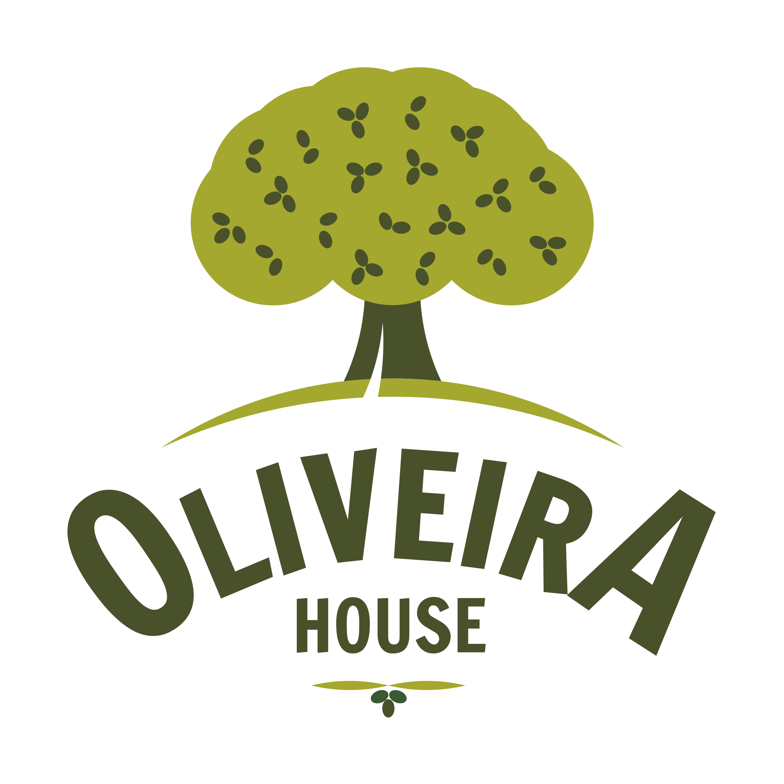 Oliveira House